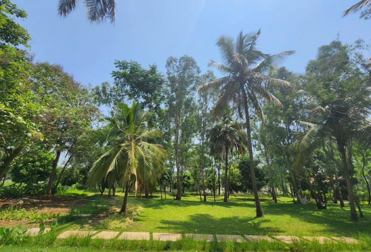 Bellevuee - Farmland with teak, coconut and landscaped lawns in Kanakapura