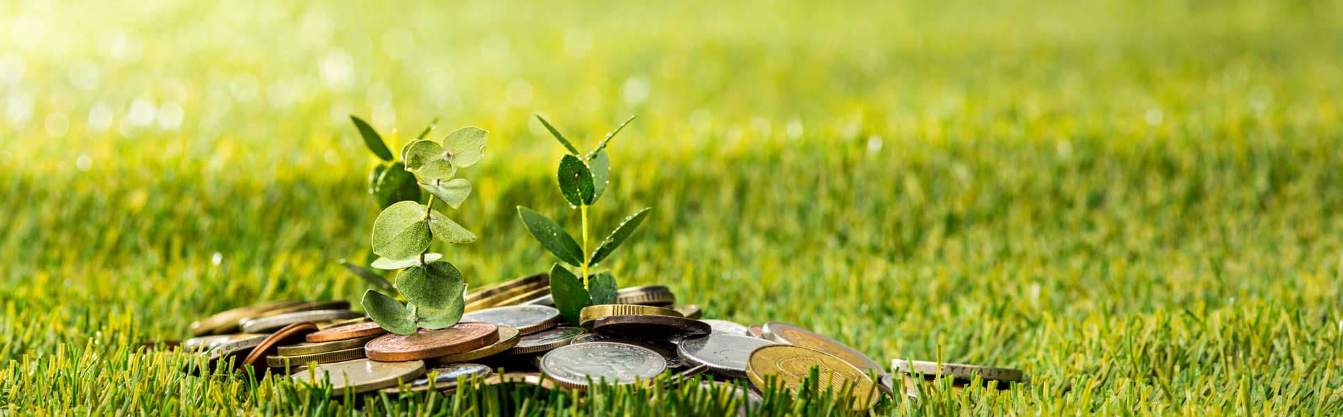 How Farmland Can Be a Passive Income Source for You
