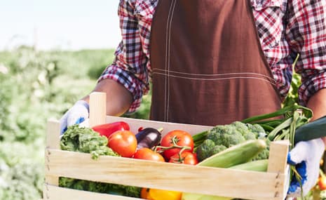 How Owning a Farm Plot Can Improve Your Quality of Life