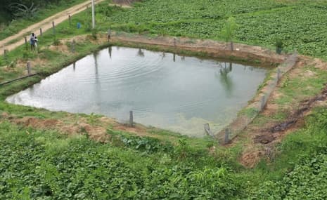 Farmland Rainwater Harvesting Systems in Bangalore | Cost & Benefits