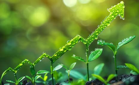 Why Investing in Farmland is a Smart Financial Decision in 2025