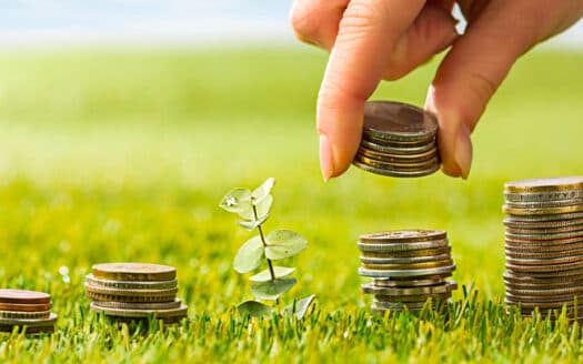 Discover Your Ideal Farmland: Top 5 Tips to Find Your Dream Patch of Earth