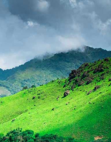 Discover the Hidden Gem of Sakleshpur: Unlocking the Charm of Farmland in the Western Ghats