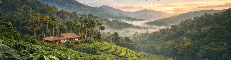 Climate Stability & Western Ghats Farmland Advantage