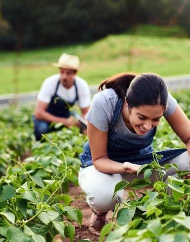 How Connectivity & Infrastructure Are Boosting Farmland Value in Sakleshpur
