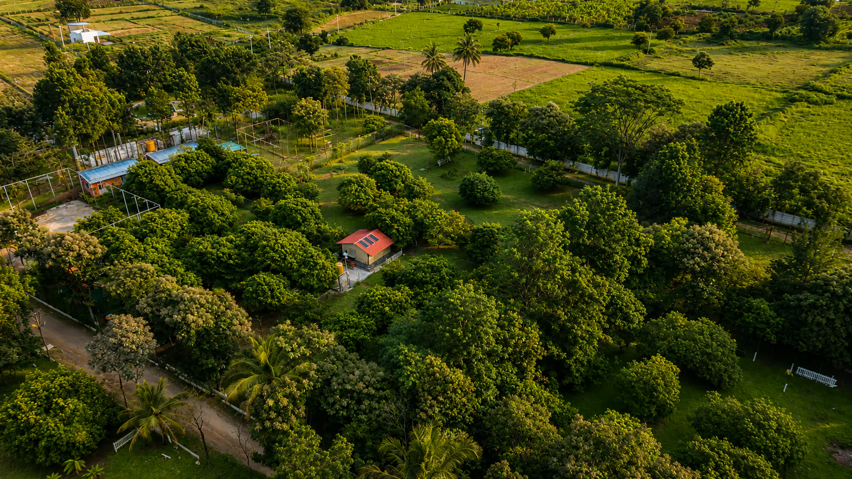 Green cover across Arinaa Country Farms, Kanakapura Road