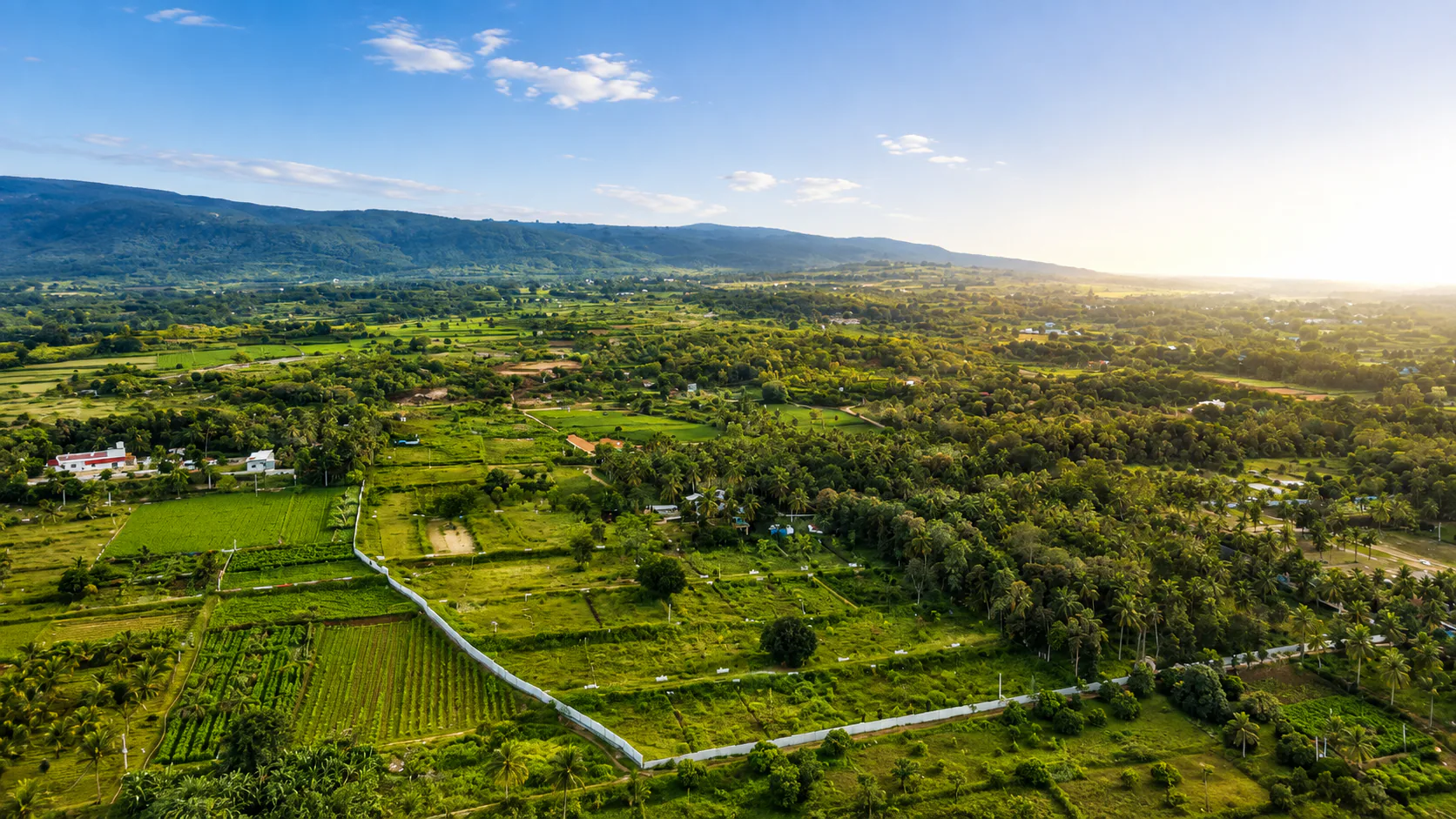 Water body and gardens at Bellevuee farmland