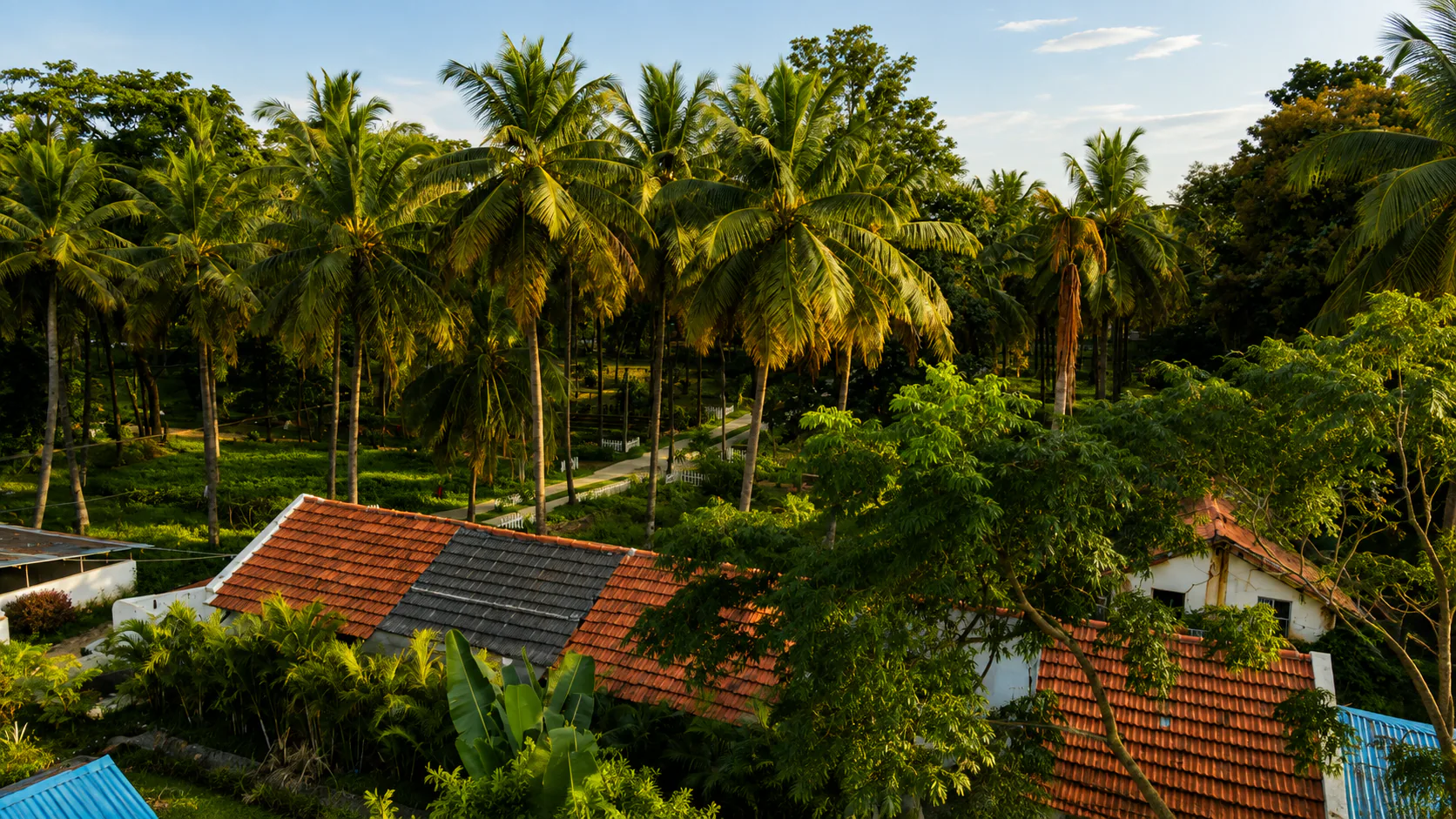 Picket fencing and farm plots at Bellevuee, Kanakapura