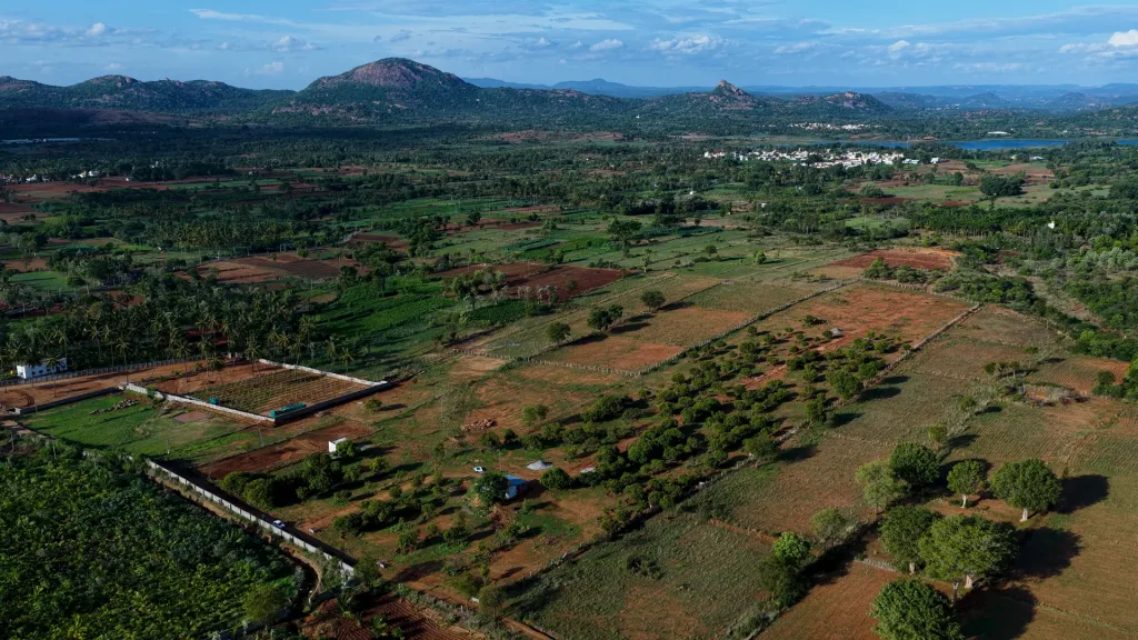 Madilu — managed mango-grove farmland, Kanakapura taluk