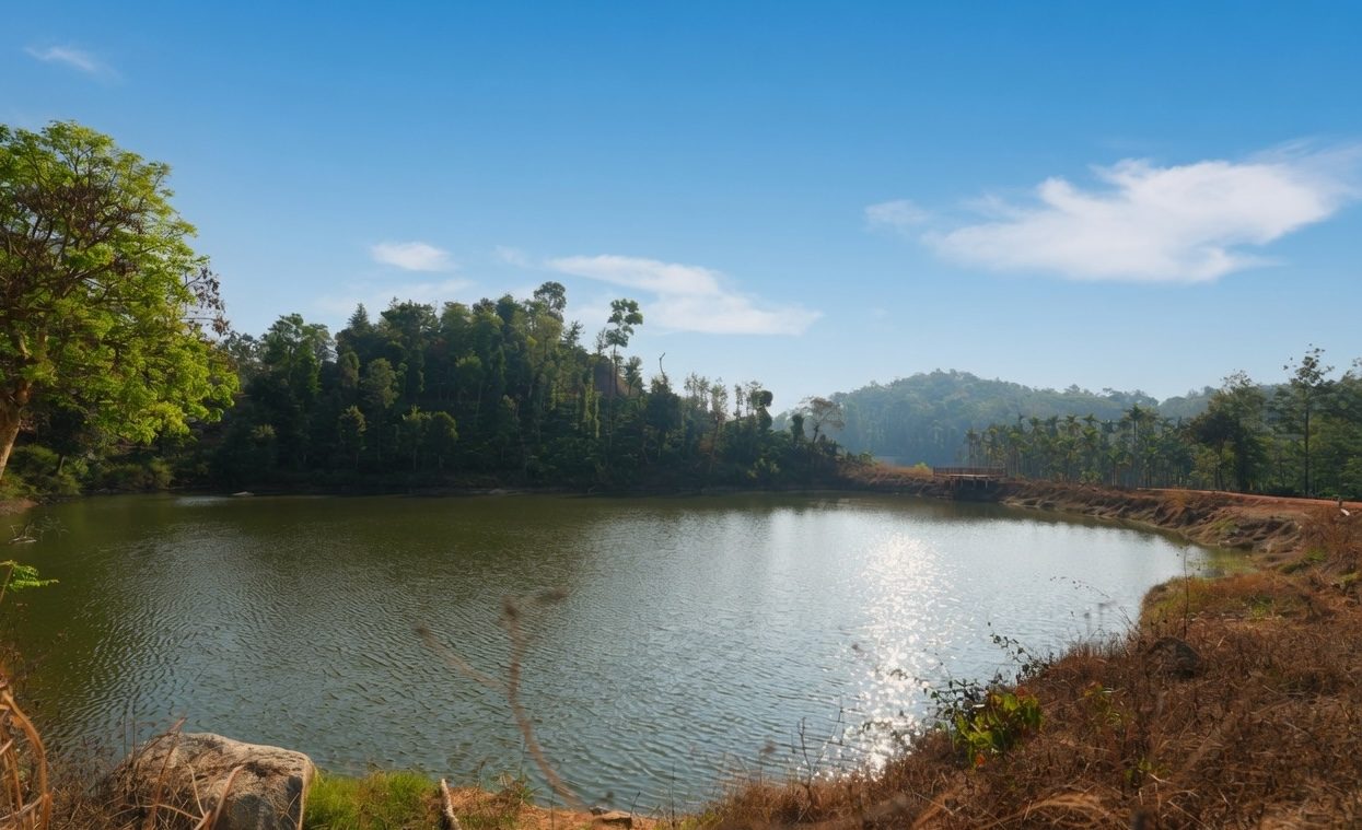 Forest estate greenery — agriculture land for sale in Sakleshpur