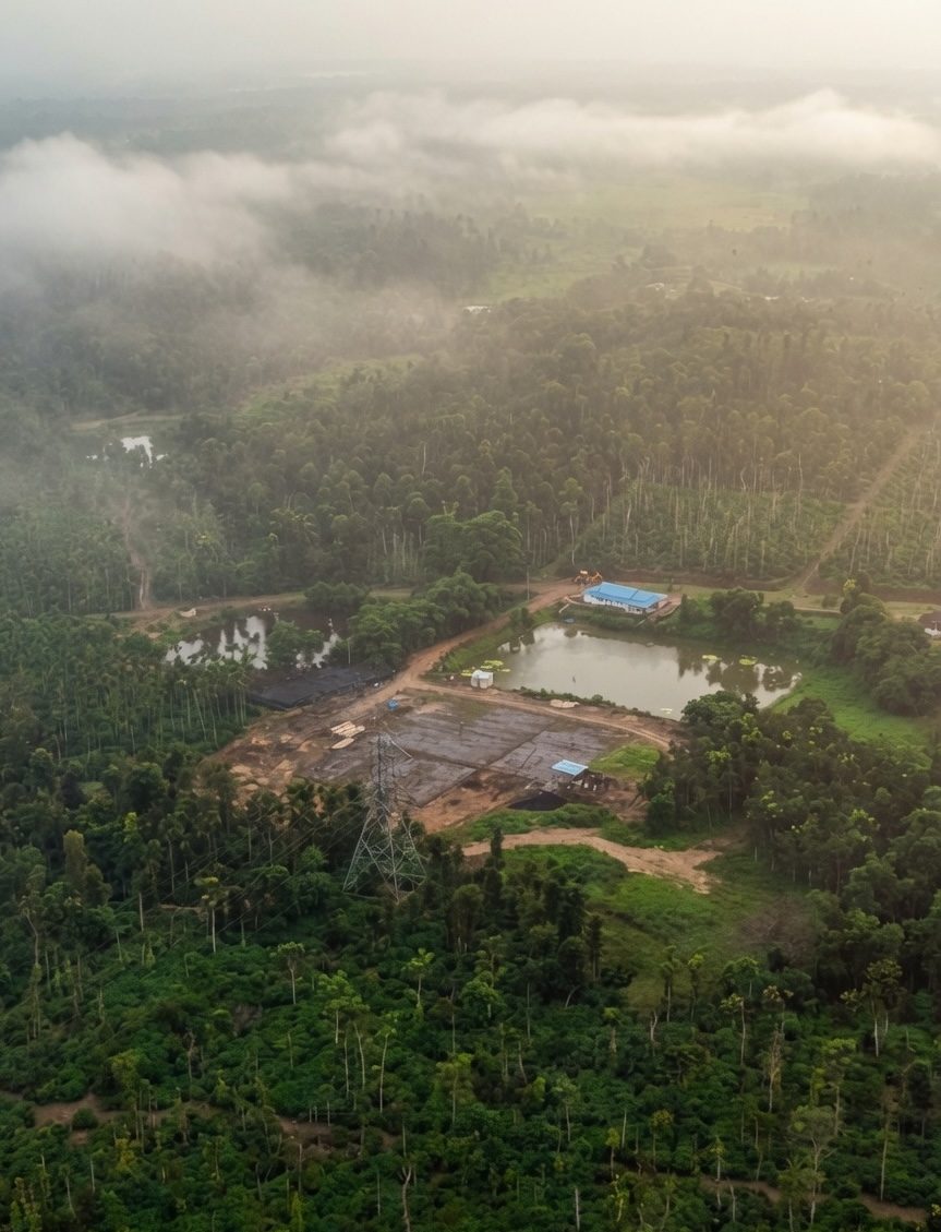 Pepper and cardamom understory — managed farmland in Ballupet