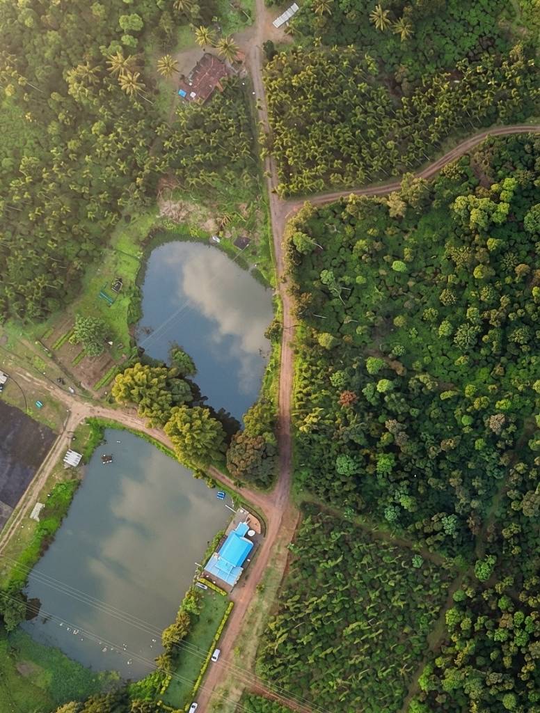 Western Ghats forest light at Whistling Woods, Ballupet
